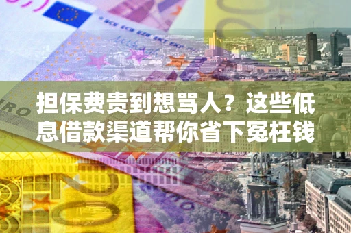 北京担保费贵到想骂人？这些低息借款渠道帮你省下冤枉钱