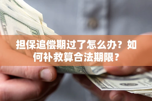 北京担保追偿期过了怎么办？如何补救算合法期限？