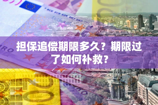 北京担保追偿期限多久？期限过了如何补救？